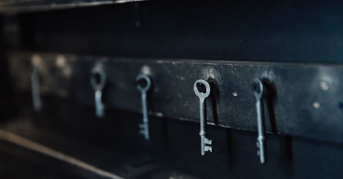 front door lock key — Jericho Tpke Locksmith
